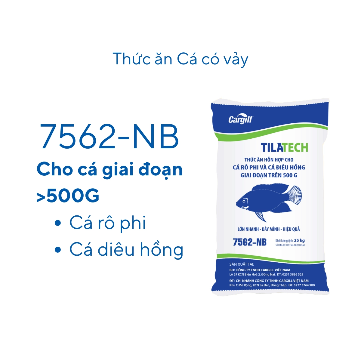 Thức ăn hỗn hợp cho cá có vảy 7562 - Ảnh 7