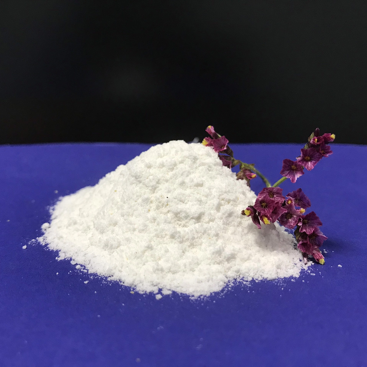 ACCELOBAC – Vi sinh bột xử lý đáy ao - Ảnh 3