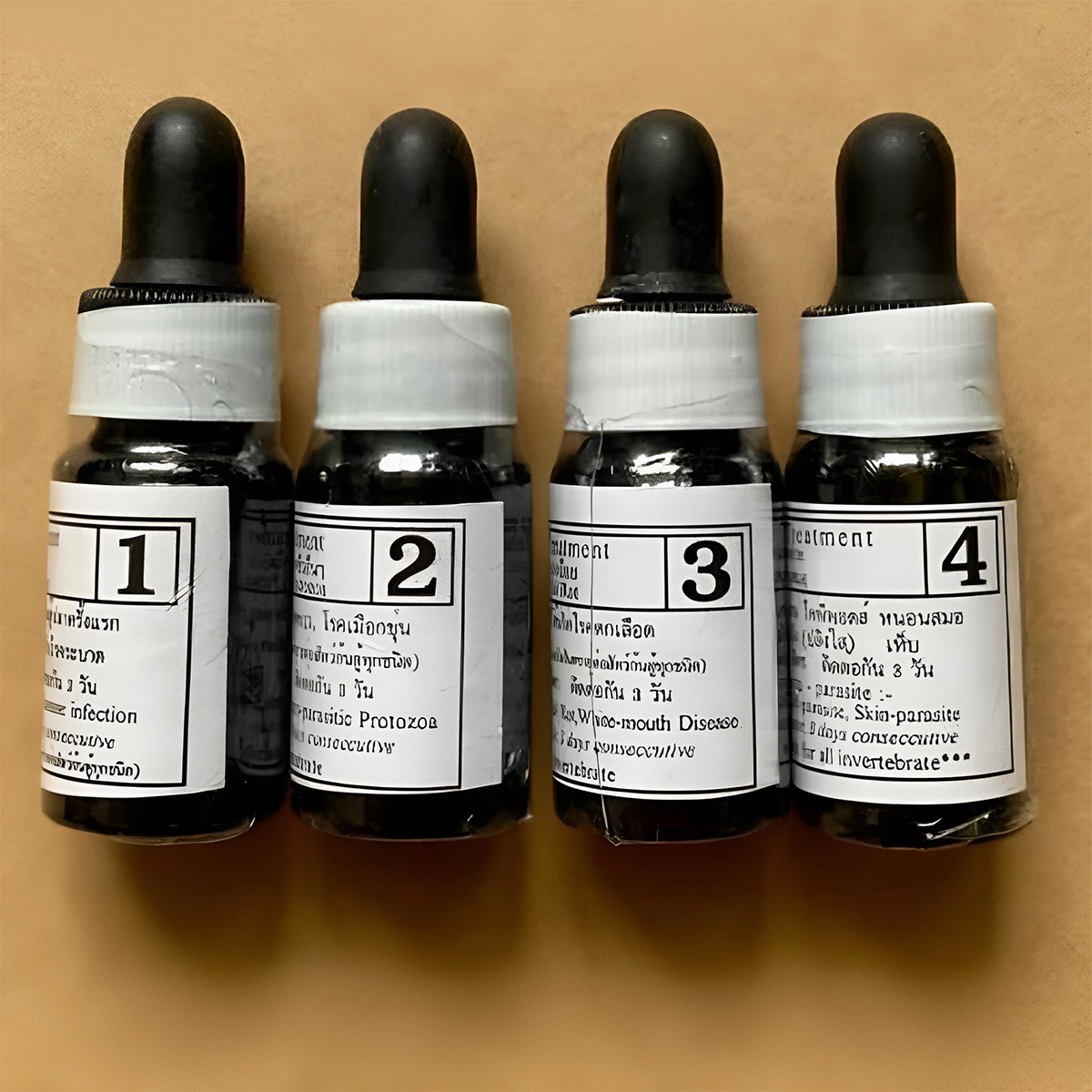 Bio Knock - Ảnh 5