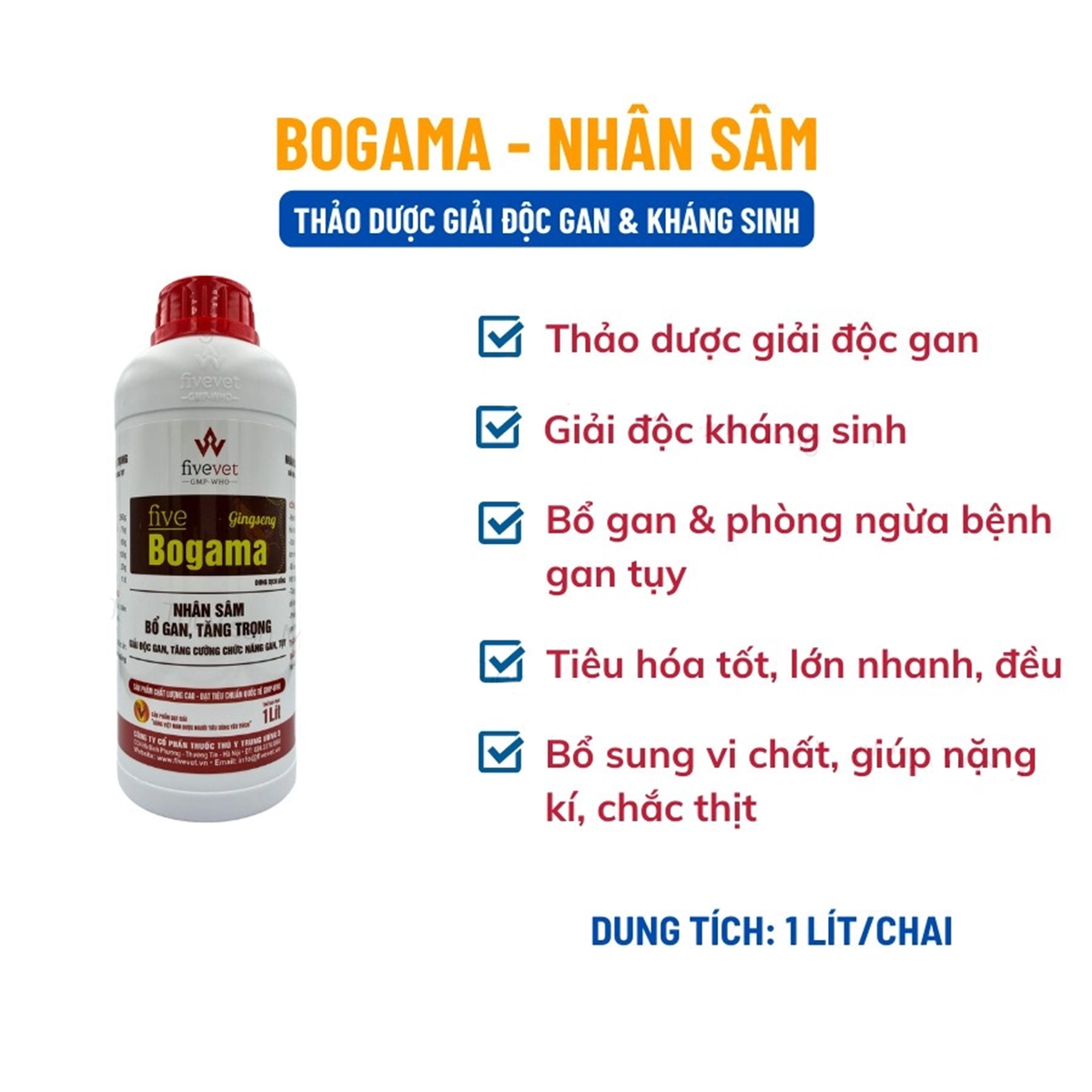Bogama - Ảnh 4
