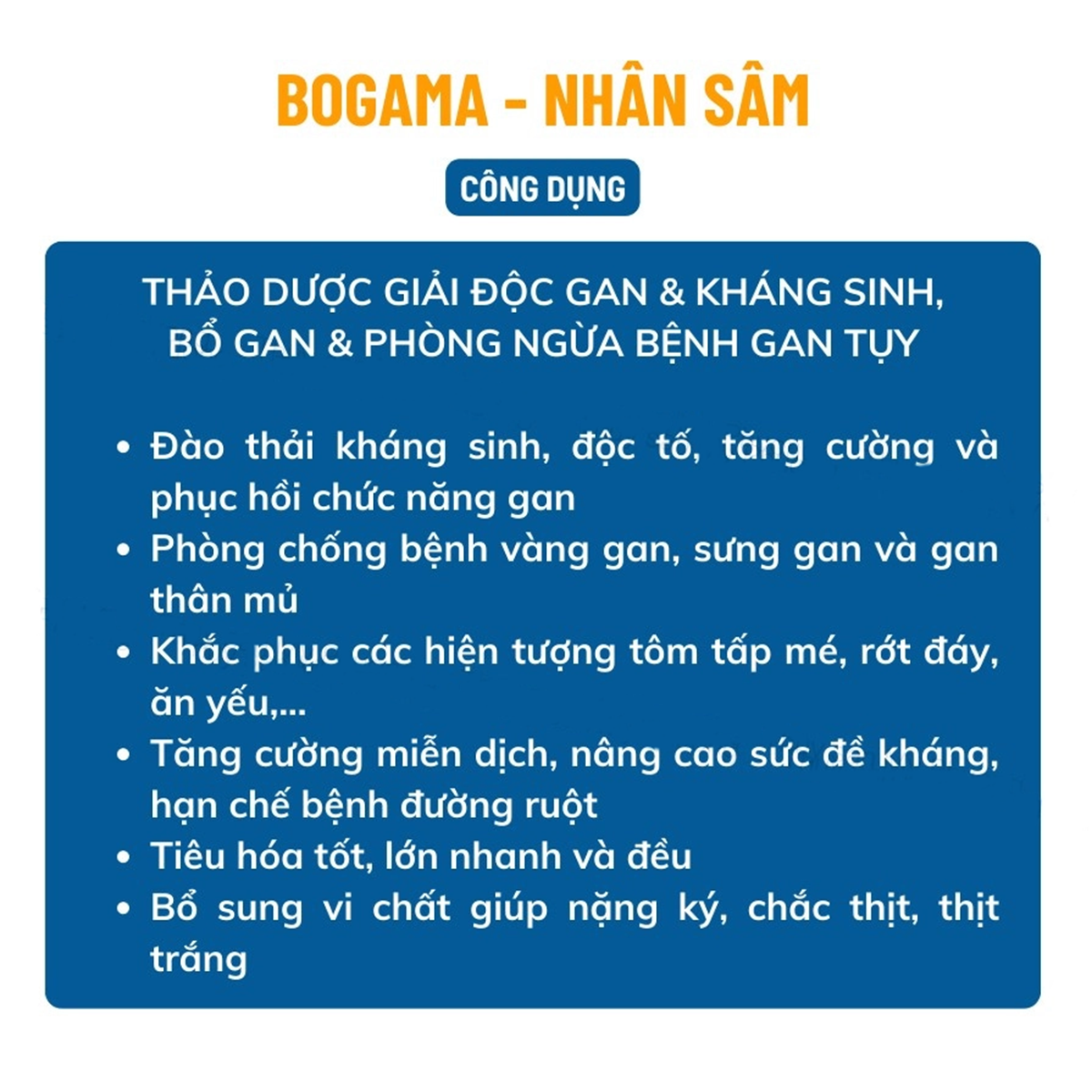 Bogama - Ảnh 5