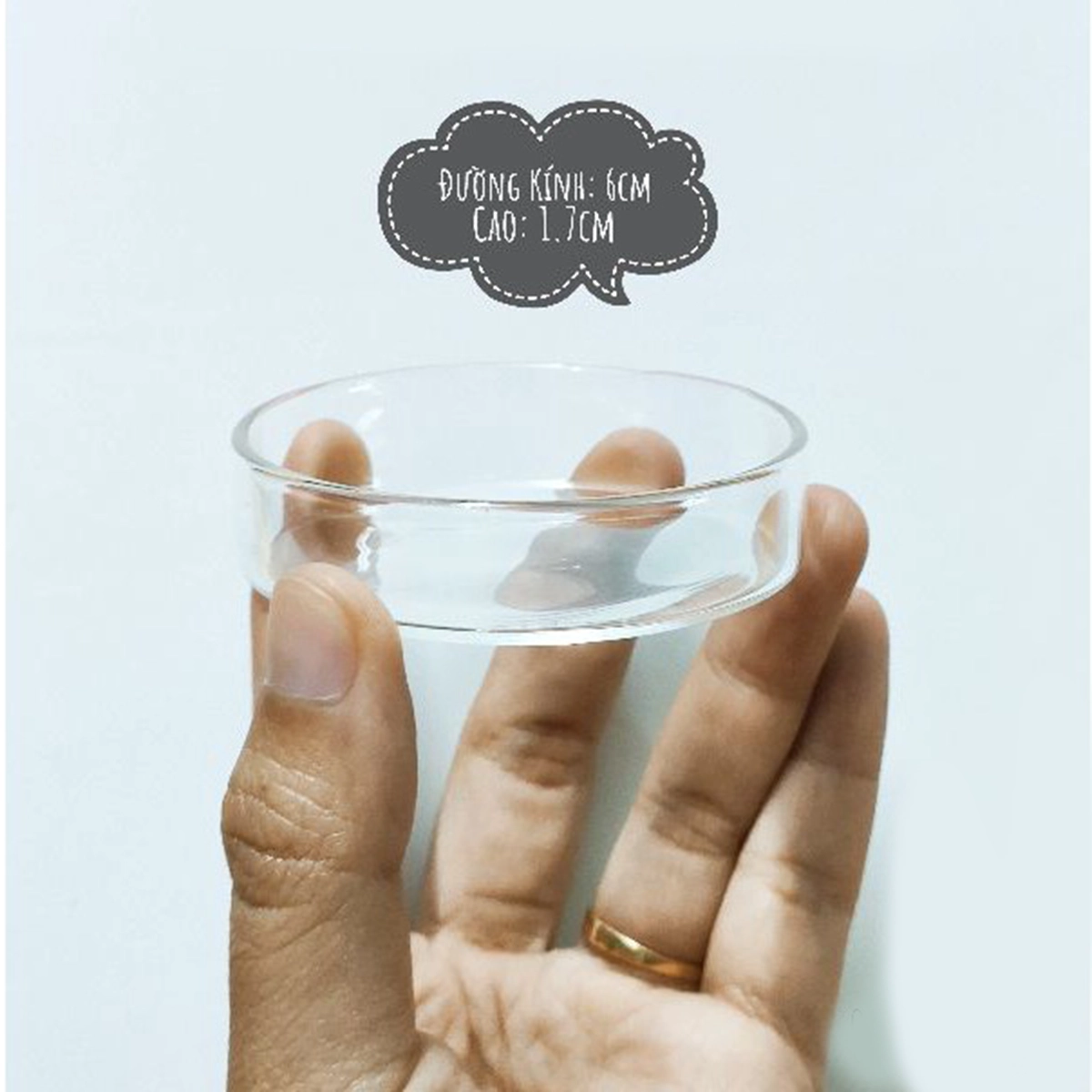 Chén Thủy Tinh - Ảnh 3