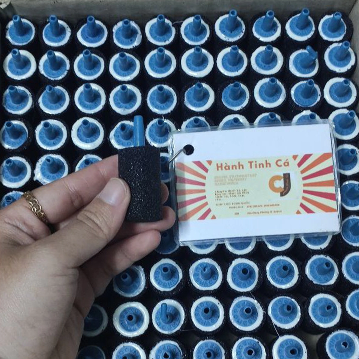 Đá Sủi Oxy - Ảnh 3