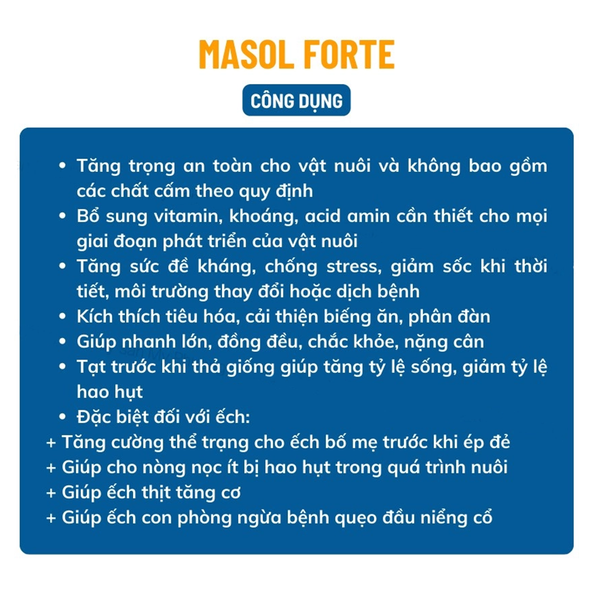 Masol Forte - Ảnh 4