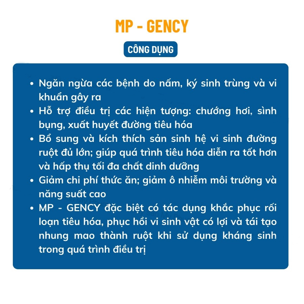 MP-GENCY - Ảnh 3