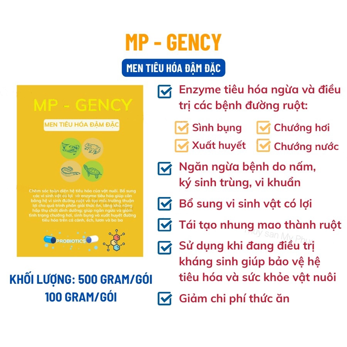 MP-GENCY - Ảnh 4