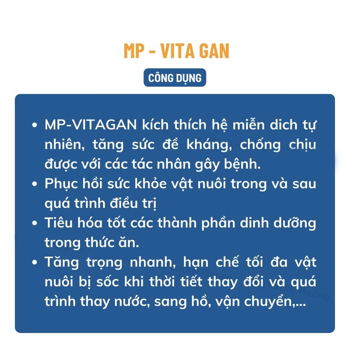 MP-VITAGAN - Ảnh 3
