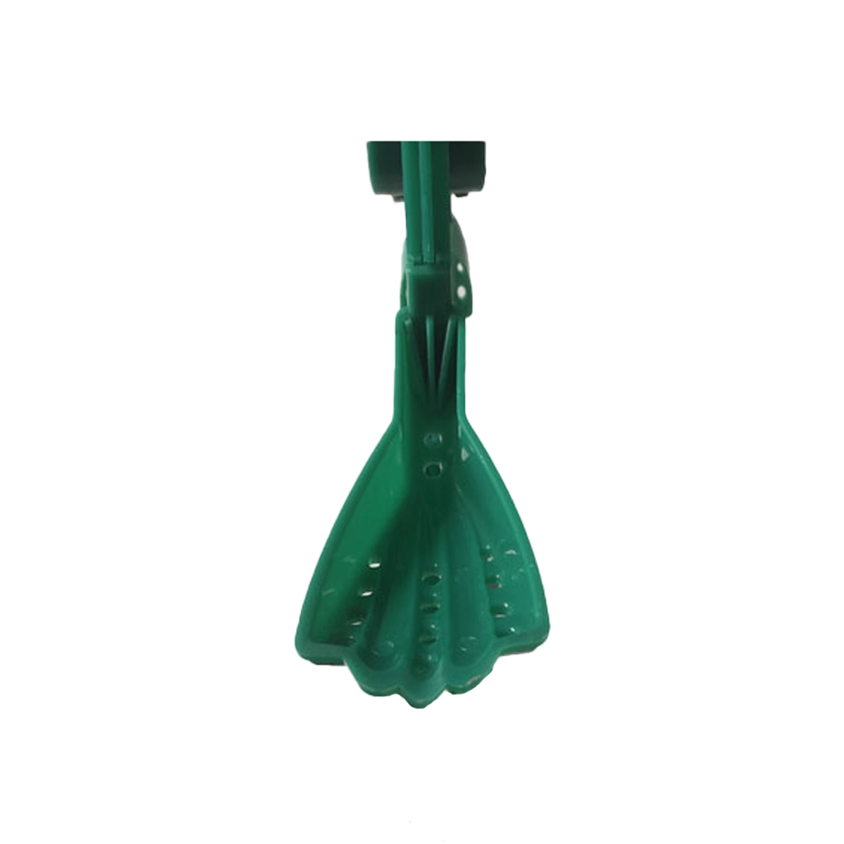 Lá muỗng bàn tay - Ảnh 2