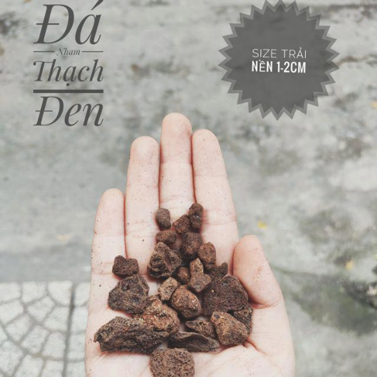 Nham thạch - Ảnh 5