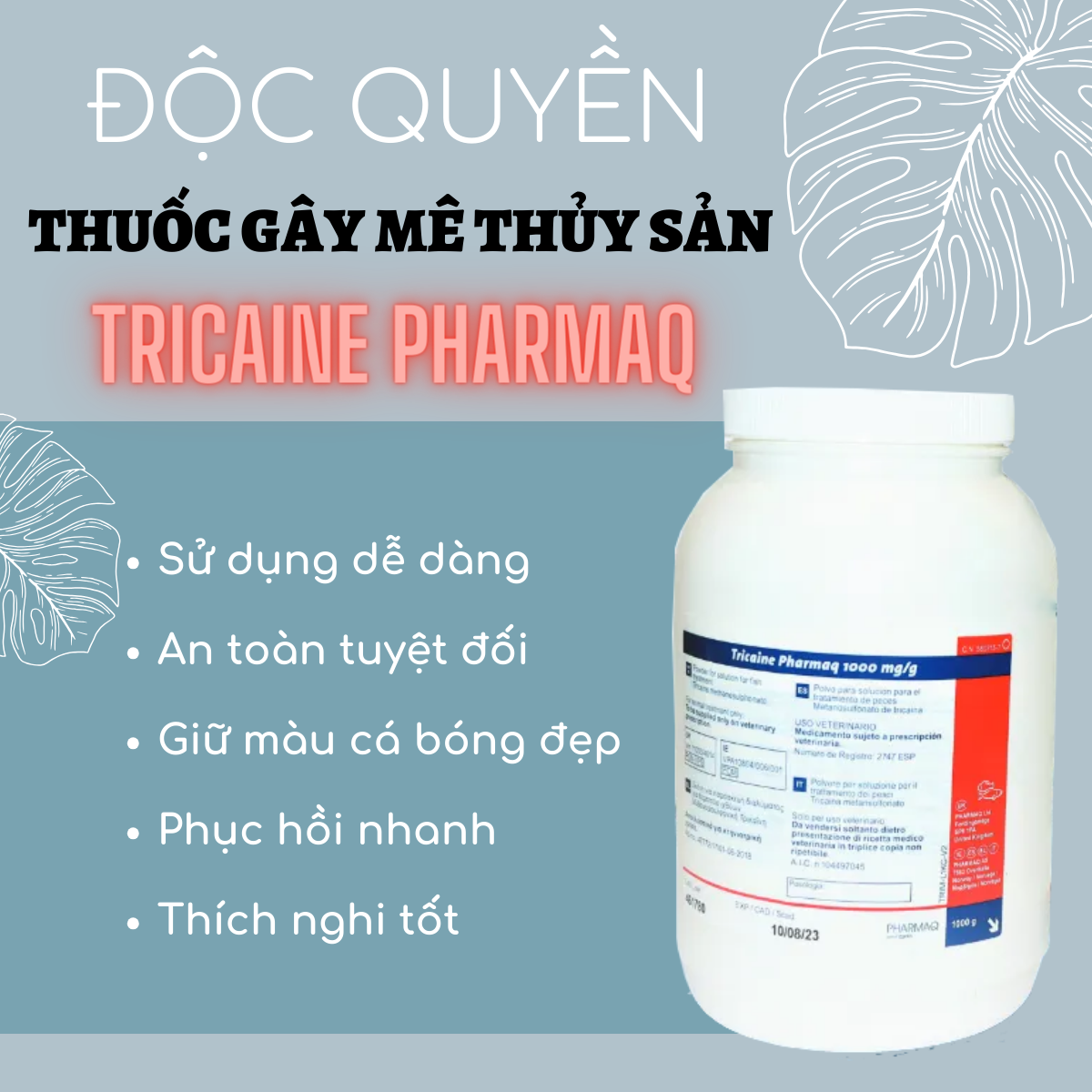 TRICAINE PHARMAQ - Ảnh 7
