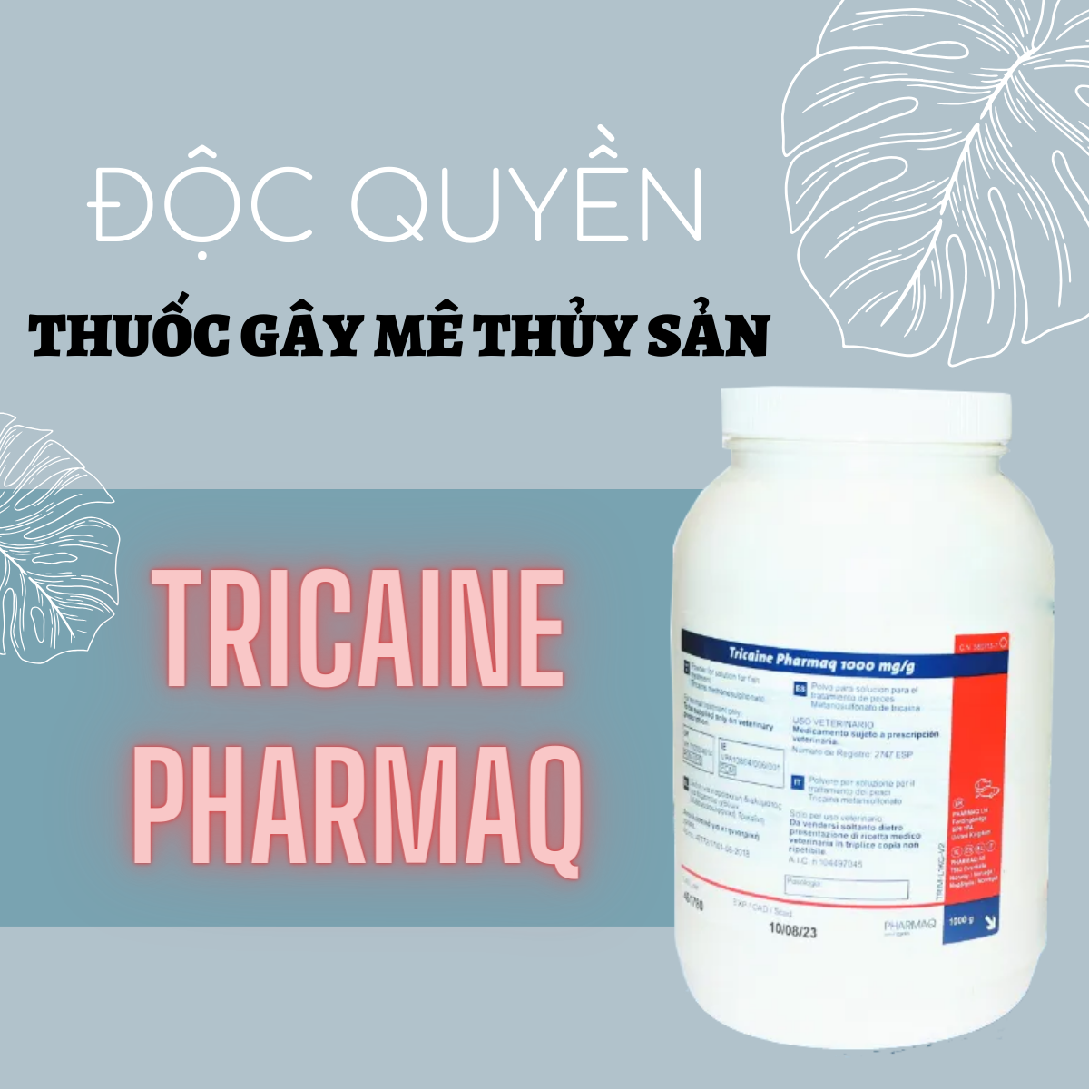 TRICAINE PHARMAQ - Ảnh 9