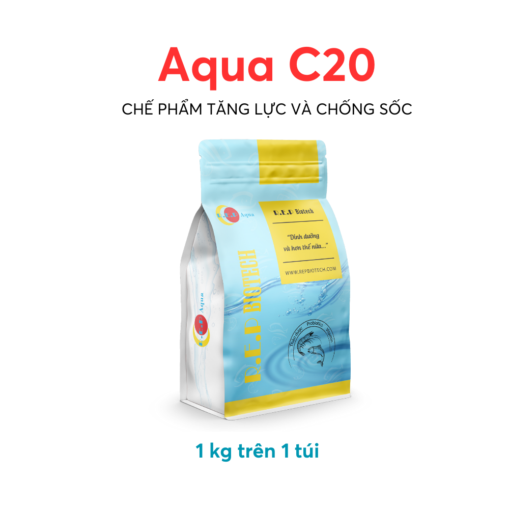 Aqua-C20 - Ảnh 2