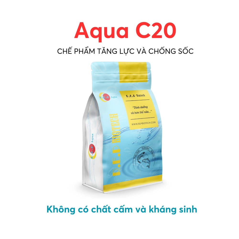 Aqua-C20 - Ảnh 3