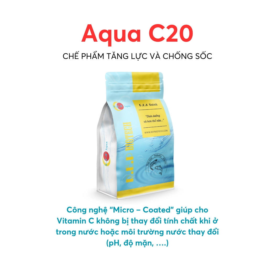 Aqua-C20 - Ảnh 4