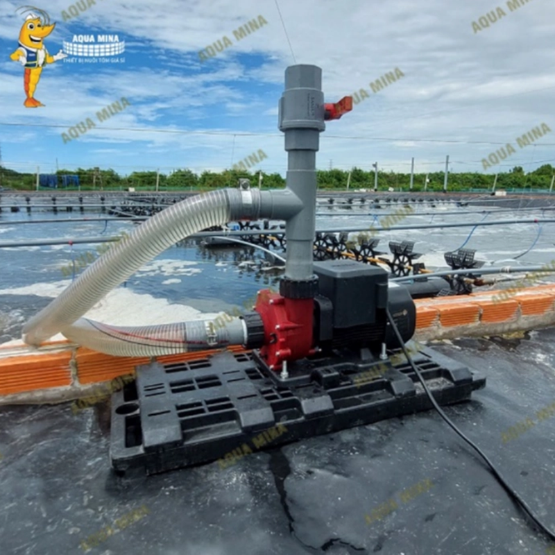 Ventek Aqua Mina - Ảnh 2