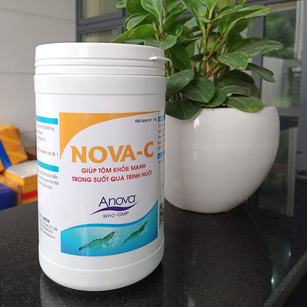 VITAMIN C - TÔM - Ảnh 2