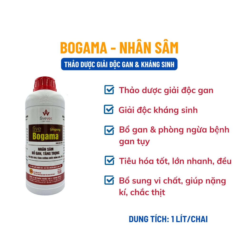 Bogama - Ảnh 3