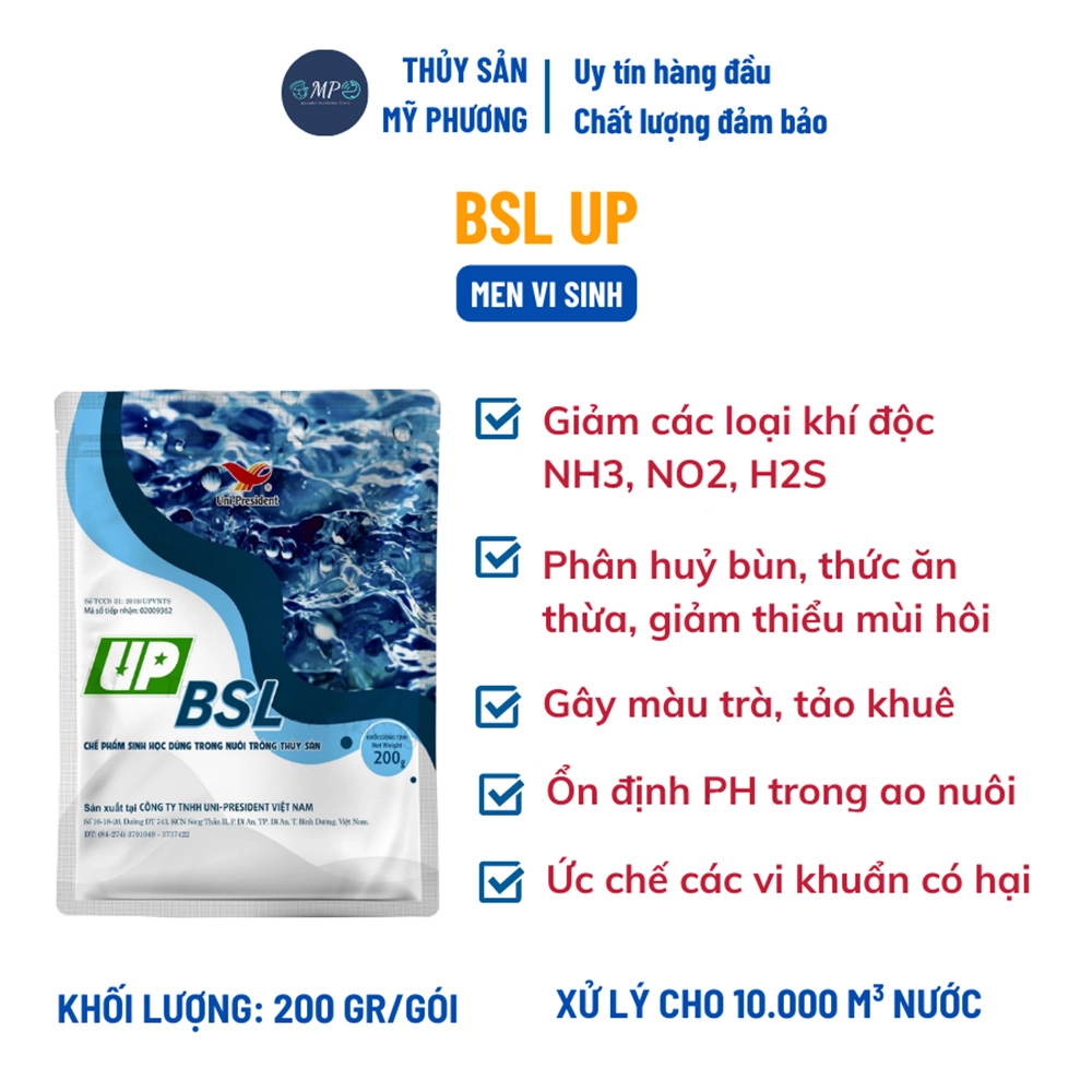 BSL UP - Ảnh 3