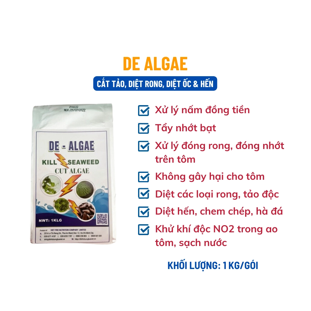 De Algae - Ảnh 3