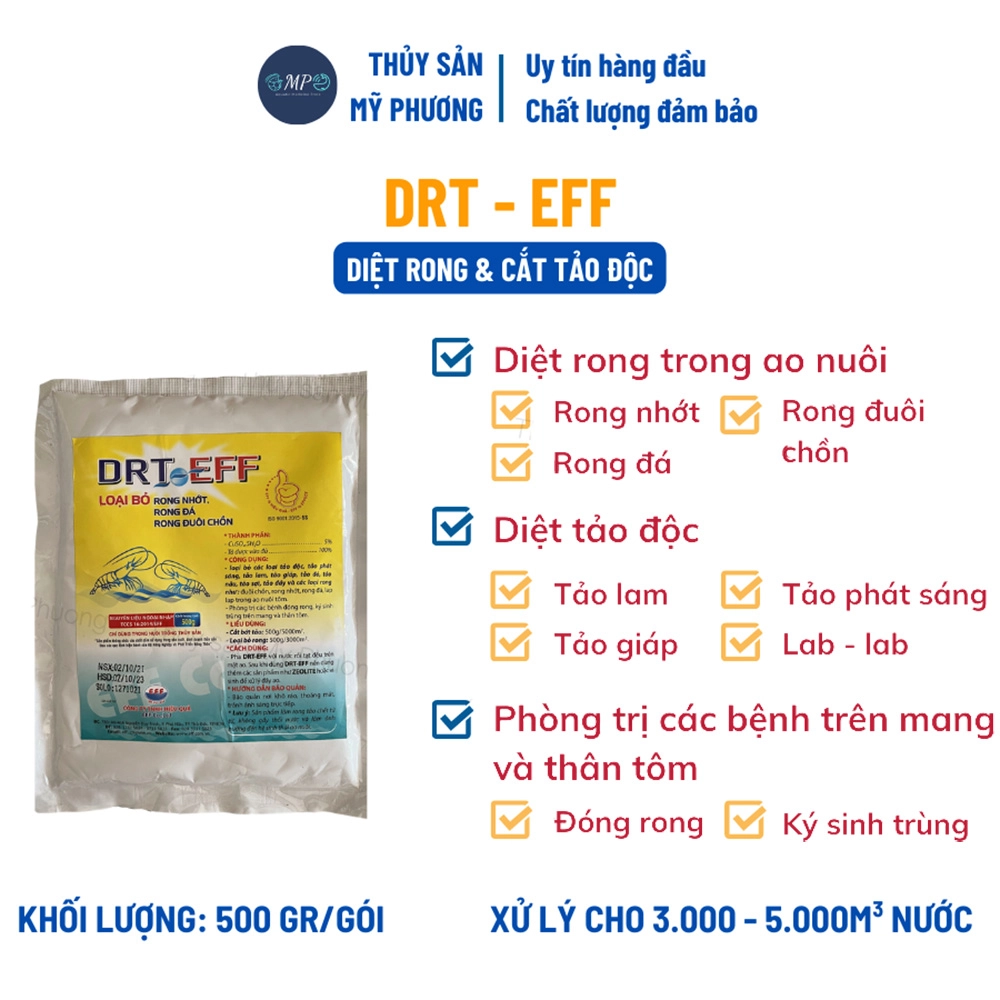 DRT EFF - Ảnh 2