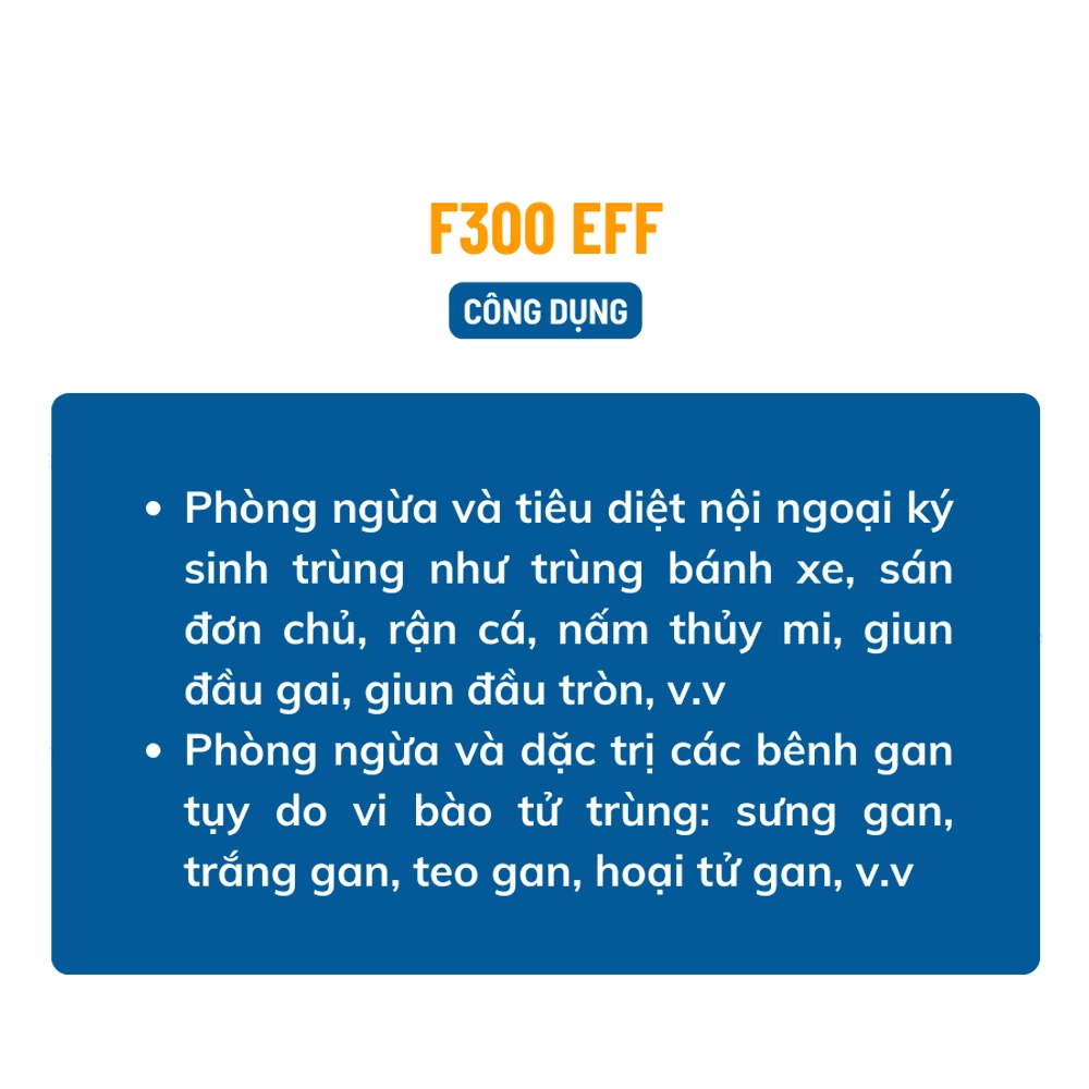 F300 Eff - Ảnh 4