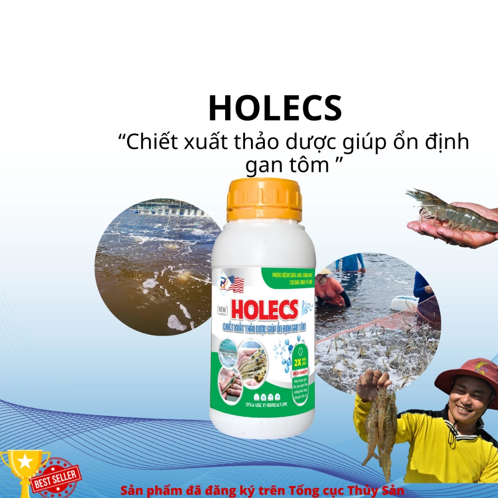 HOLECS - Ảnh 3