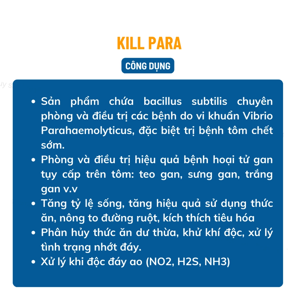 KILL PARA - Ảnh 4