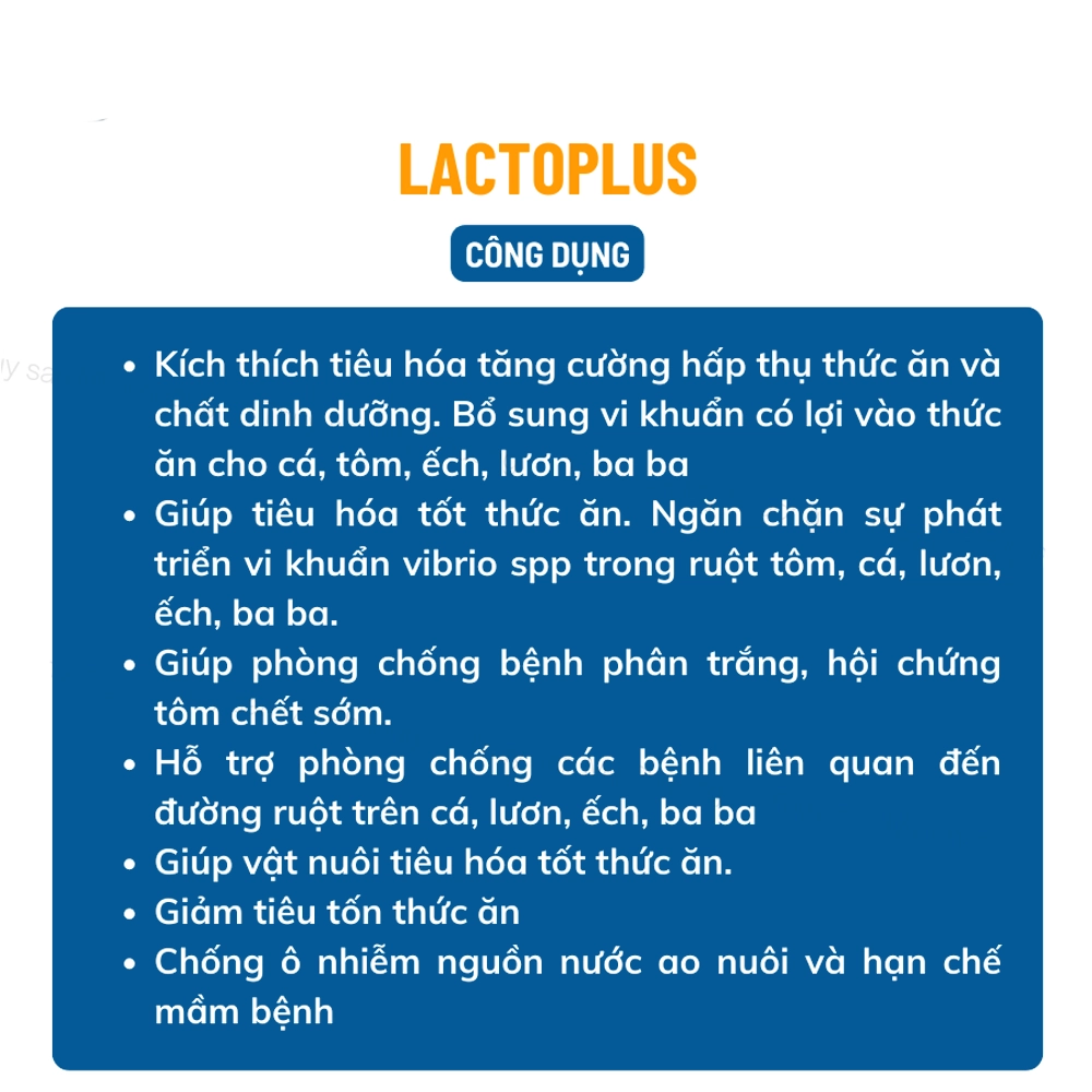 Lactoplus - Ảnh 4