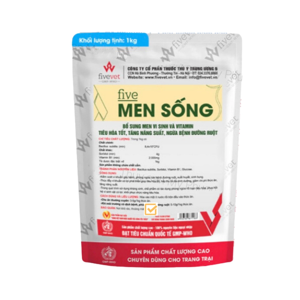 Five Men sống nông to đường ruột ngừa kích thích tăng đề kháng lớn nhanh tăng trọng