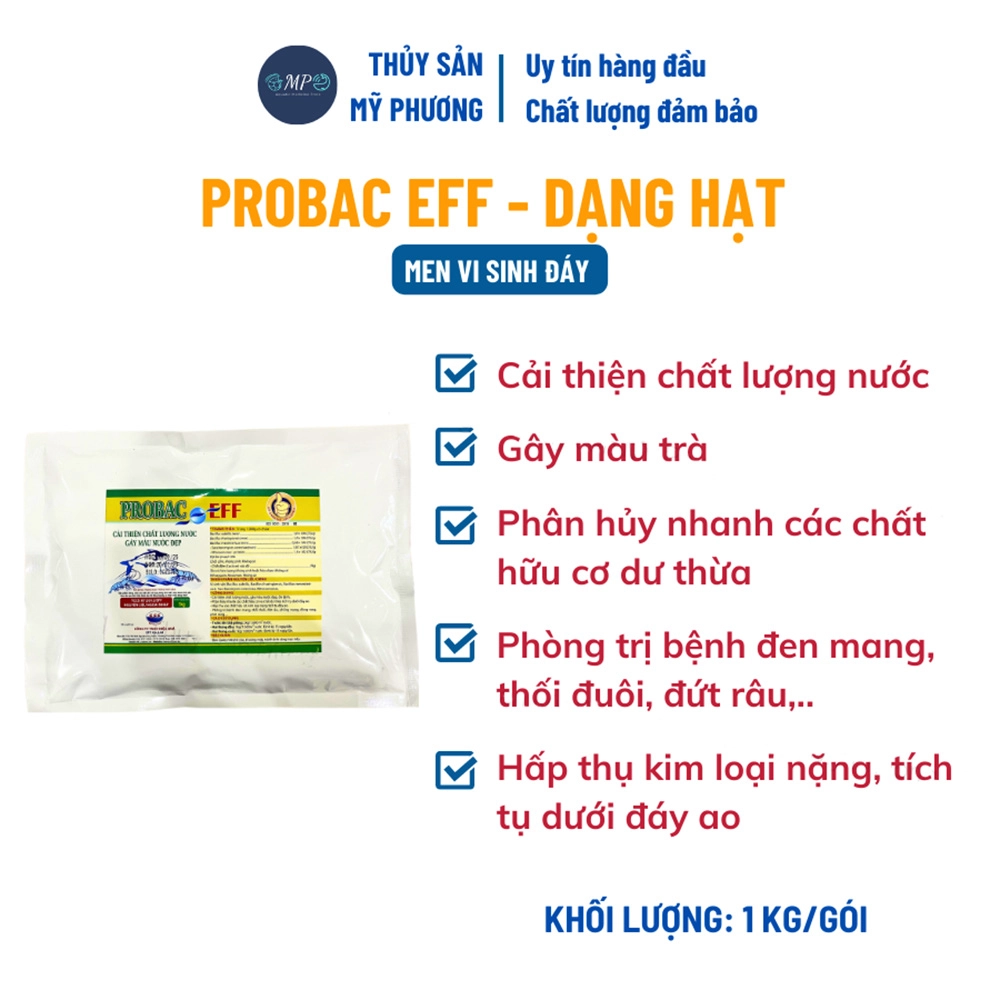 Probac-EFF - Ảnh 2
