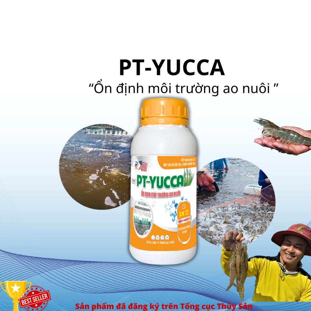 PT-YUCCA - Ảnh 3