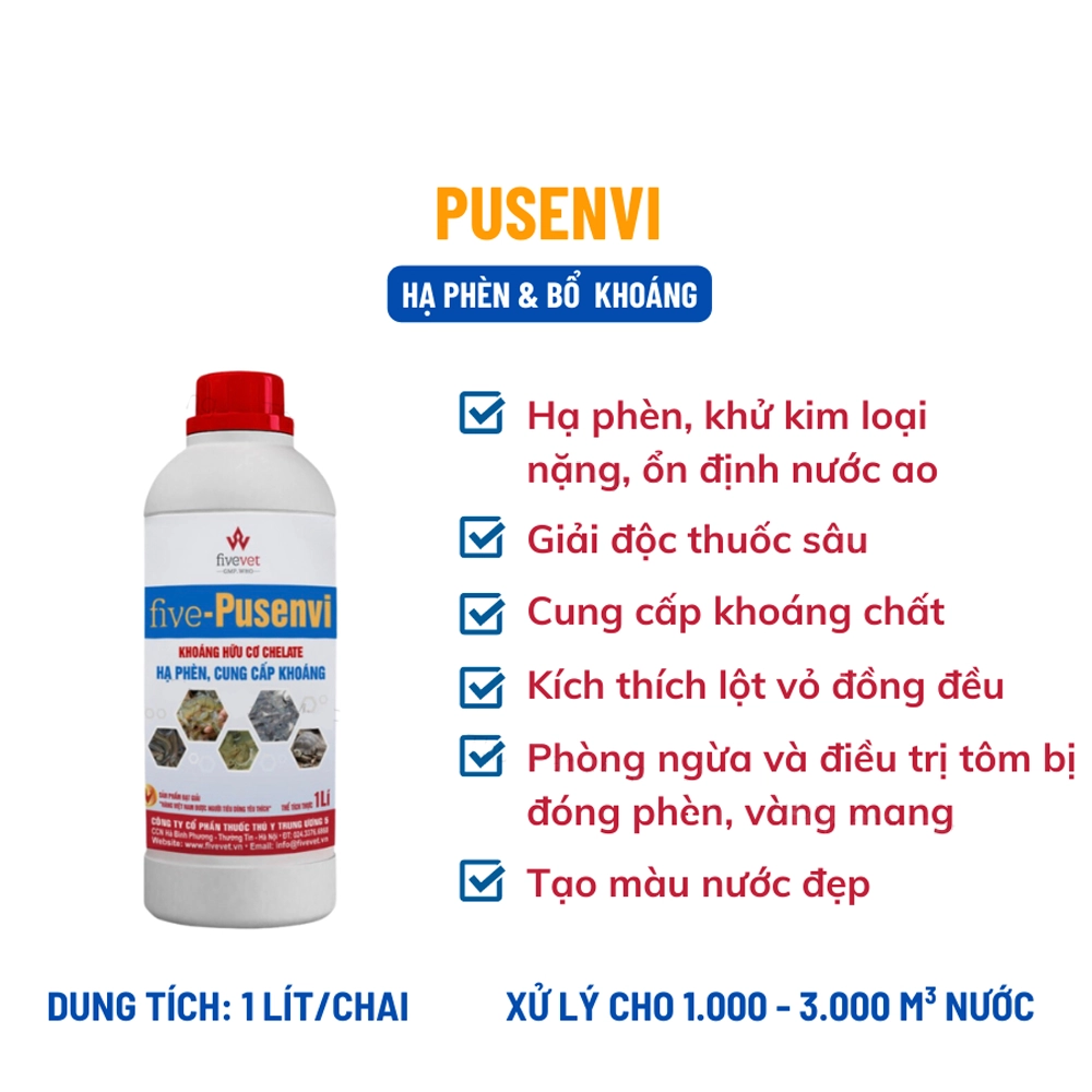 Pusenvi - Ảnh 3