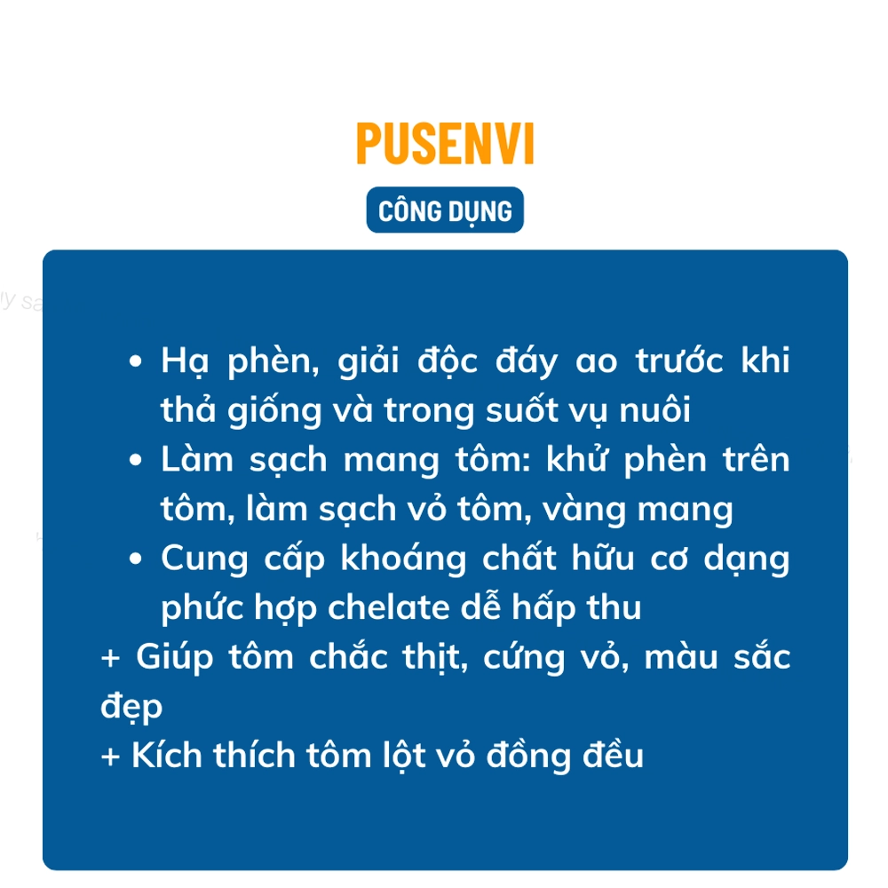Pusenvi - Ảnh 4