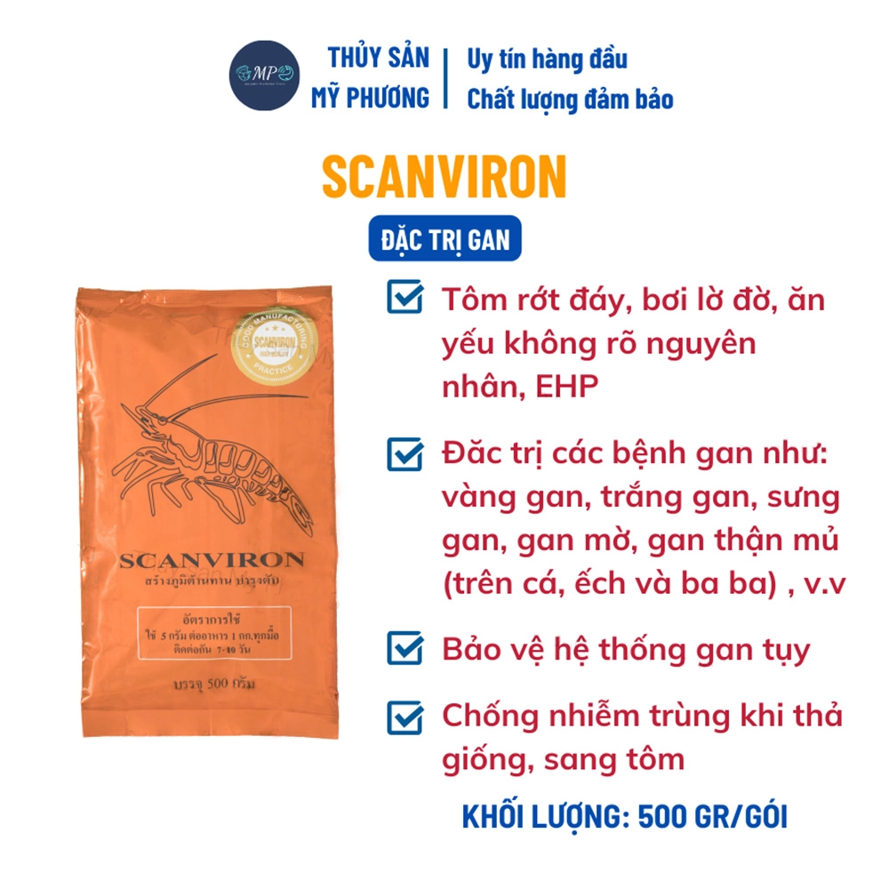 Scanviron gan - Ảnh 2