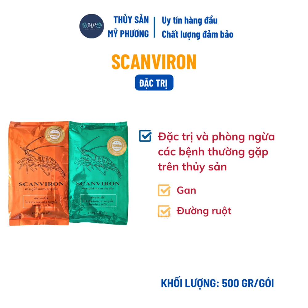 Scanviron ruột - Ảnh 2