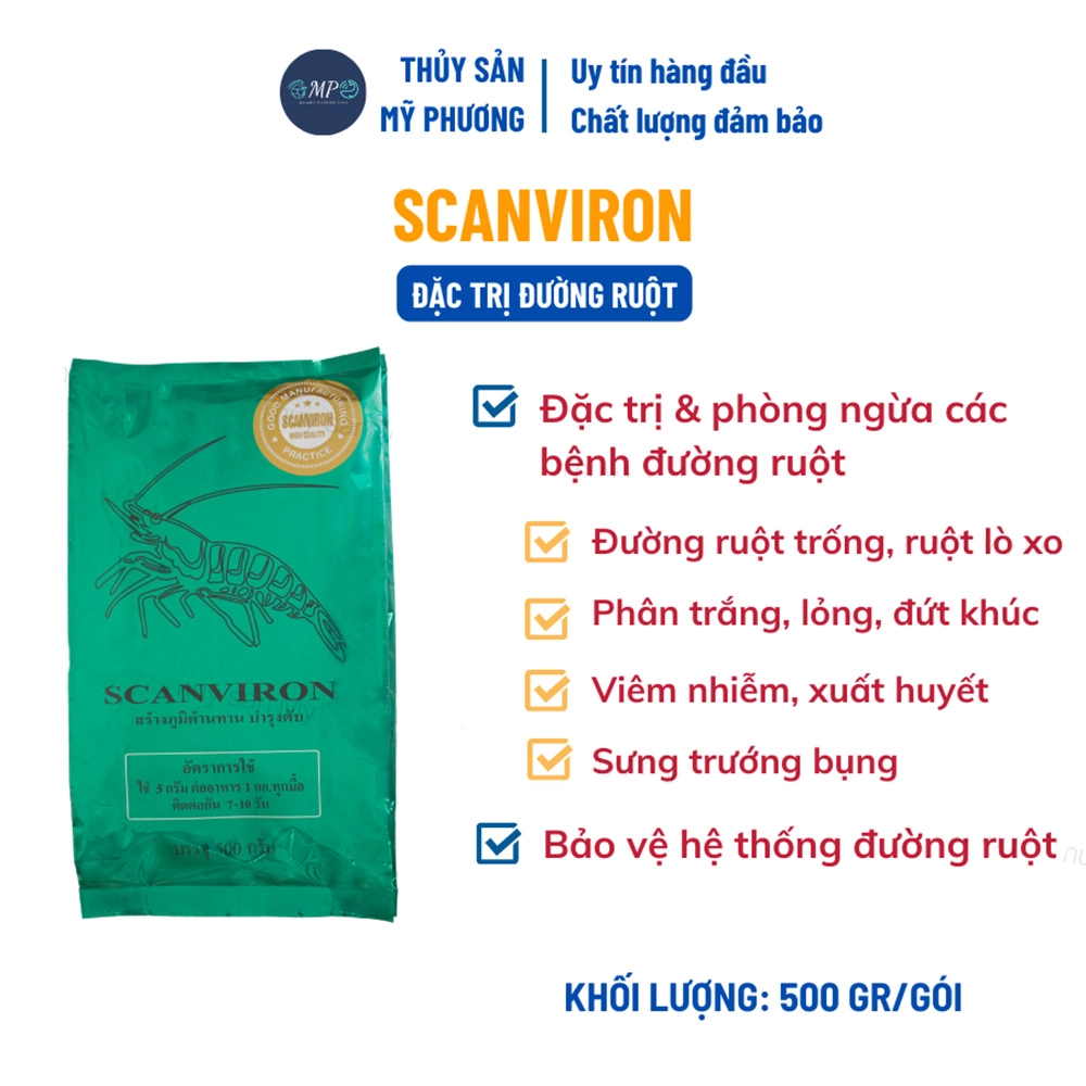 Scanviron ruột - Ảnh 3