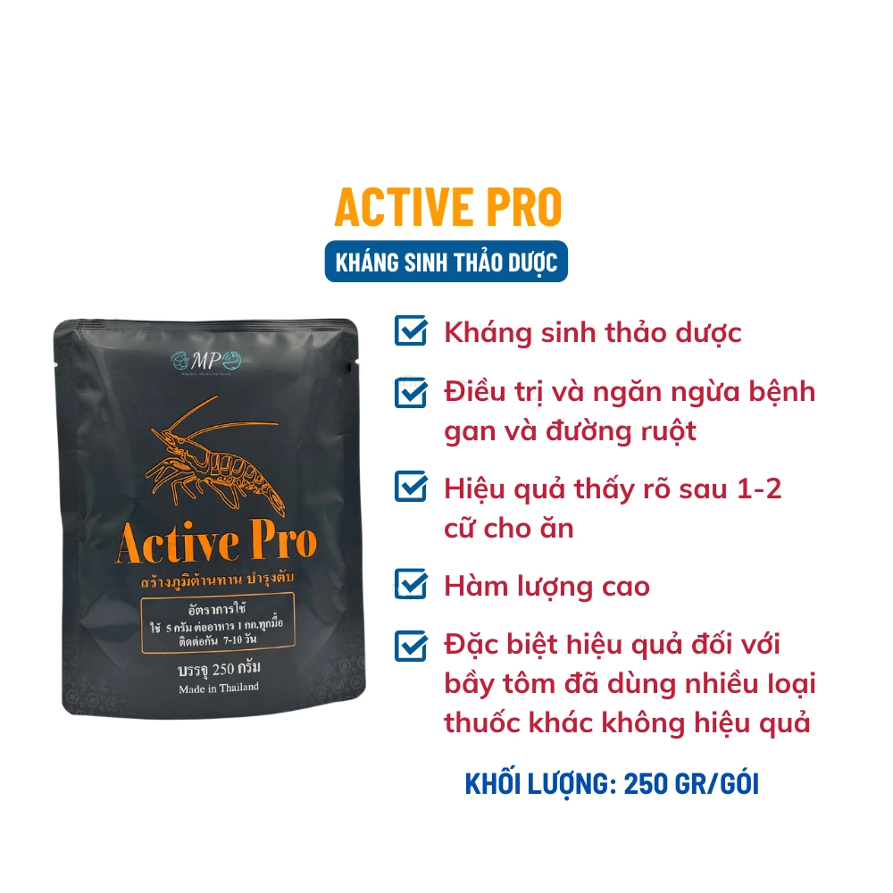 Active Pro - Ảnh 3