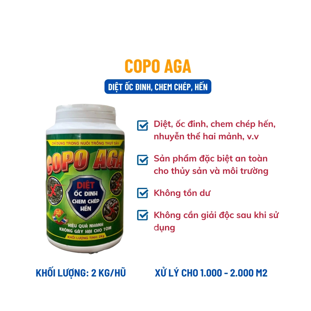 Copo Aga - Ảnh 3