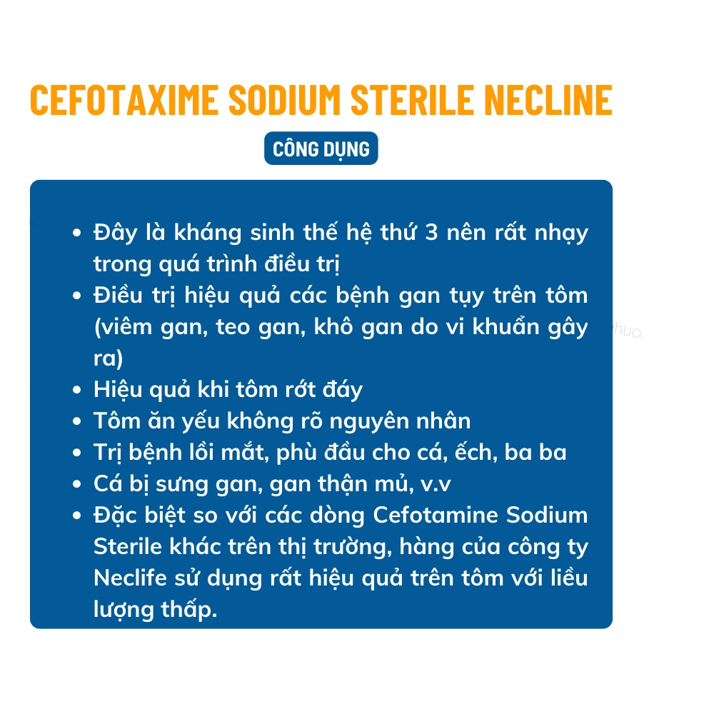 Cefotaxime Sodium Sterile - Ảnh 3