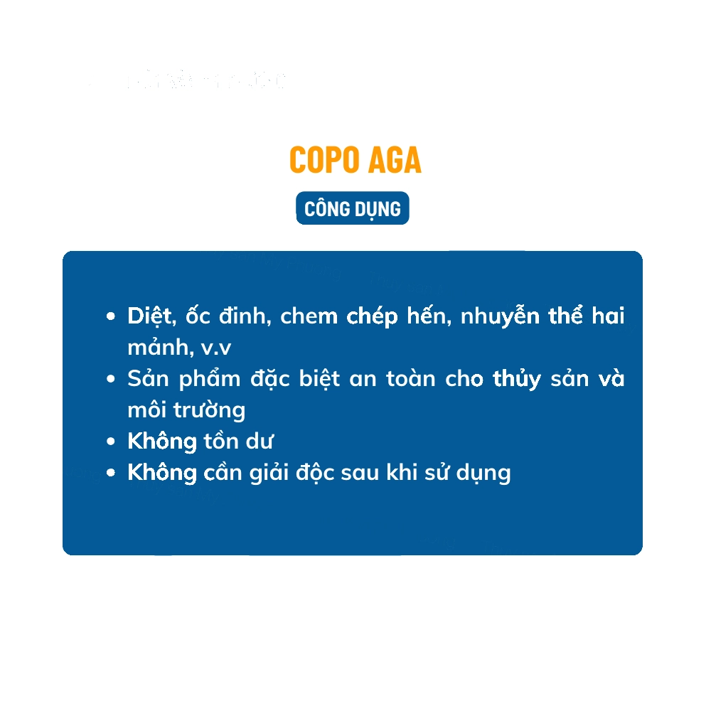 Copo Aga - Ảnh 4