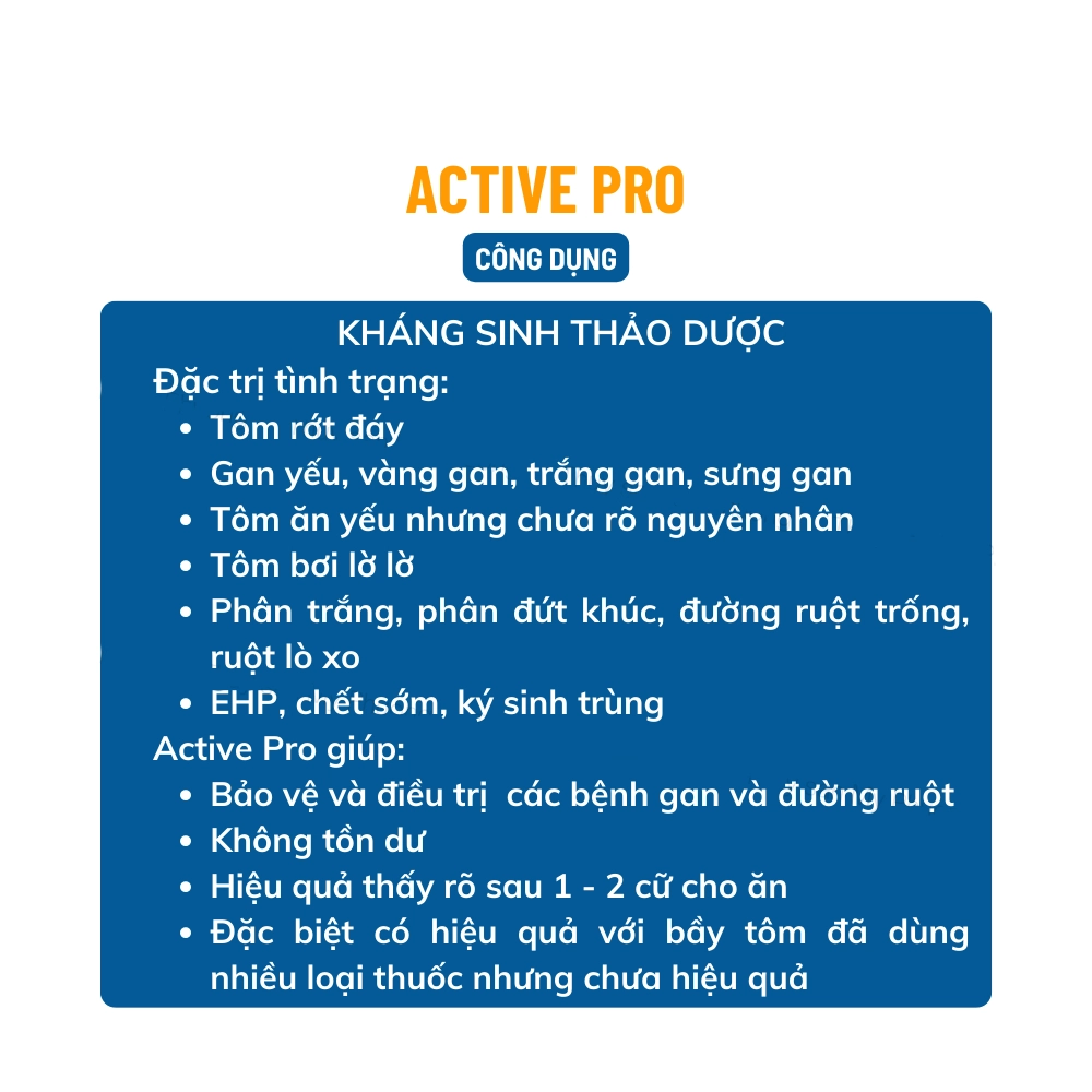 Active Pro - Ảnh 5