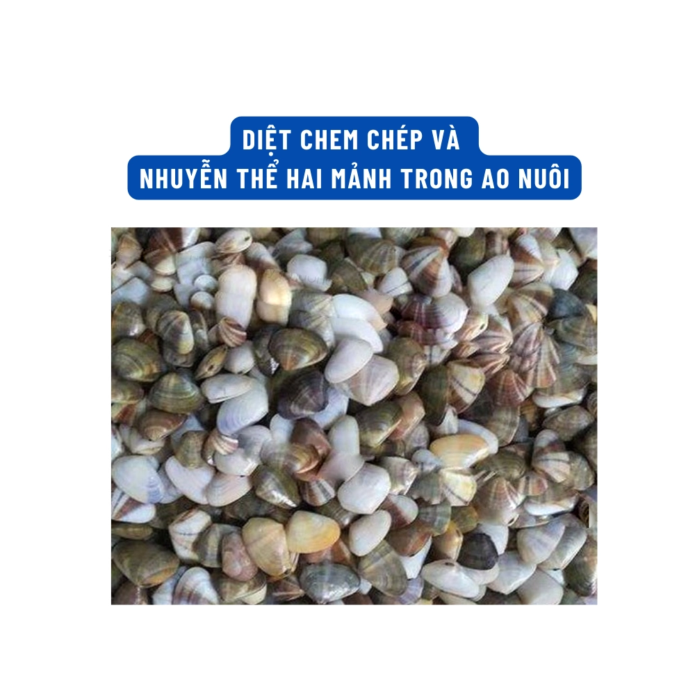 Copo Aga - Ảnh 6