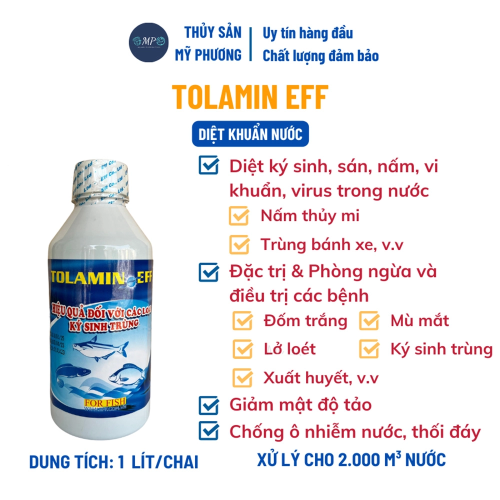 Tolamin EFF - Ảnh 4