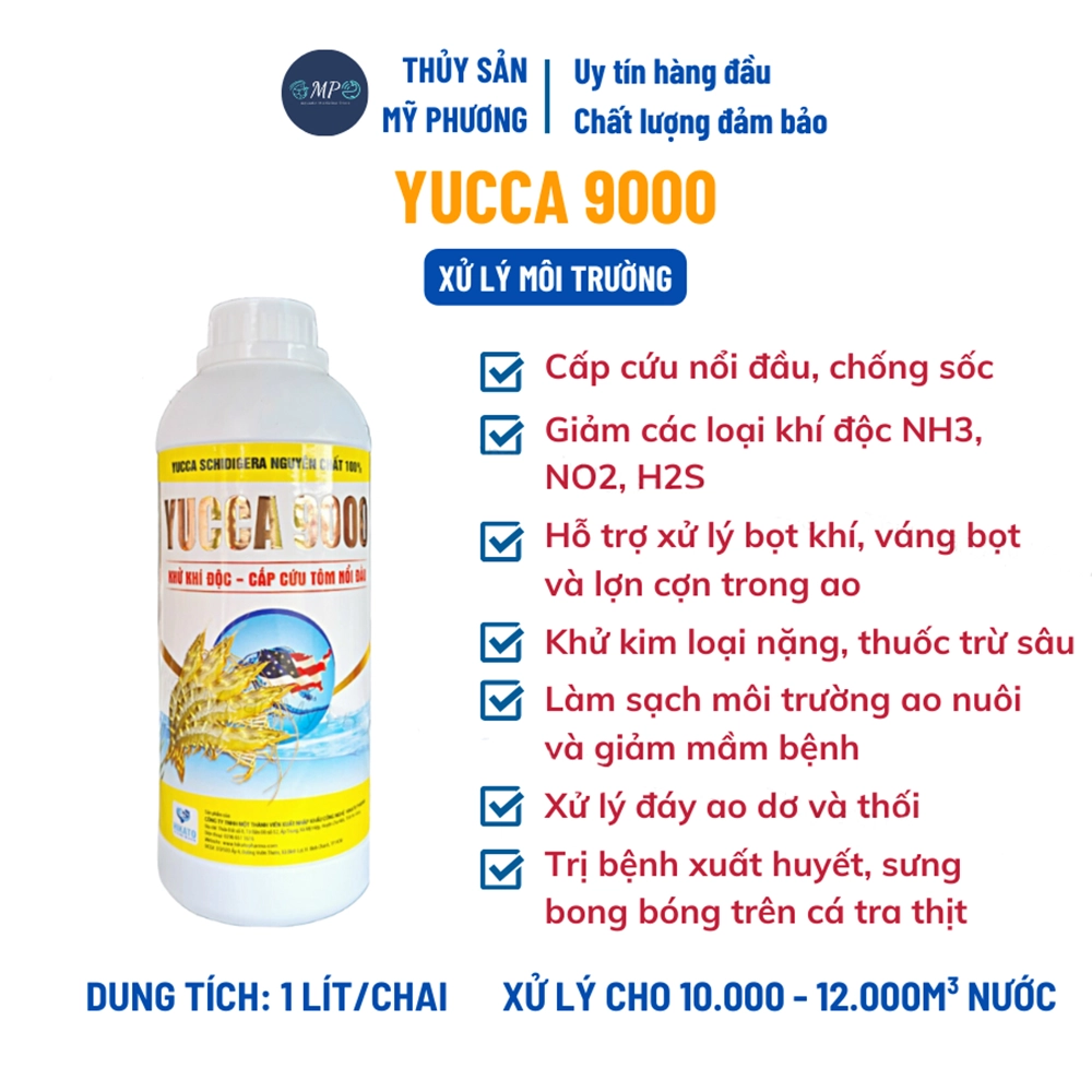Yucca 9000 - Ảnh 2