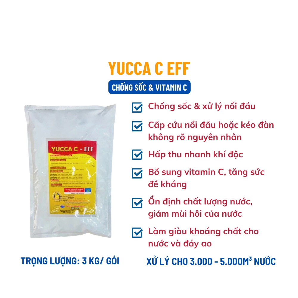 Yucca Vitamin C - Ảnh 3