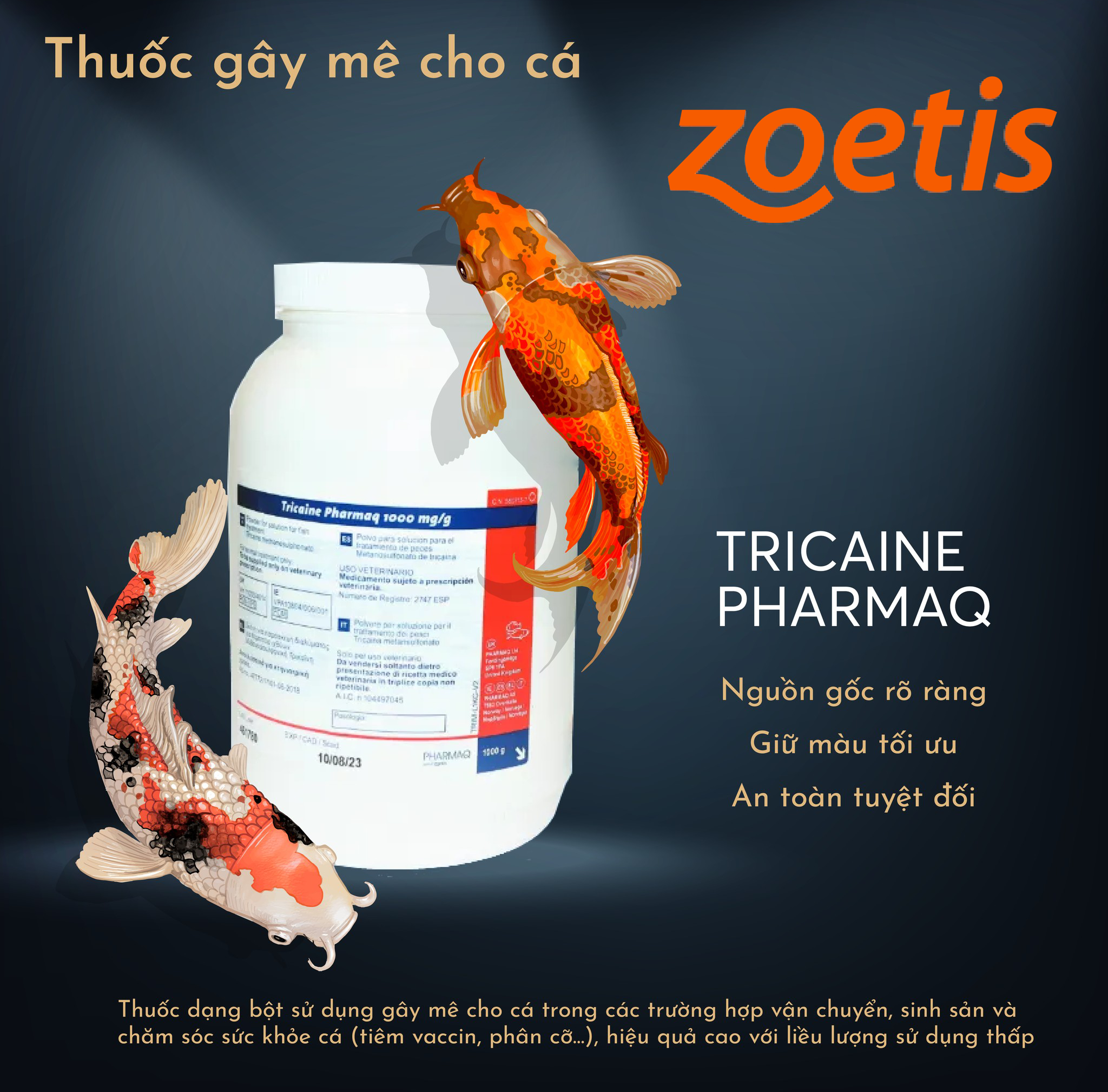 TRICAINE PHARMAQ - Ảnh 12