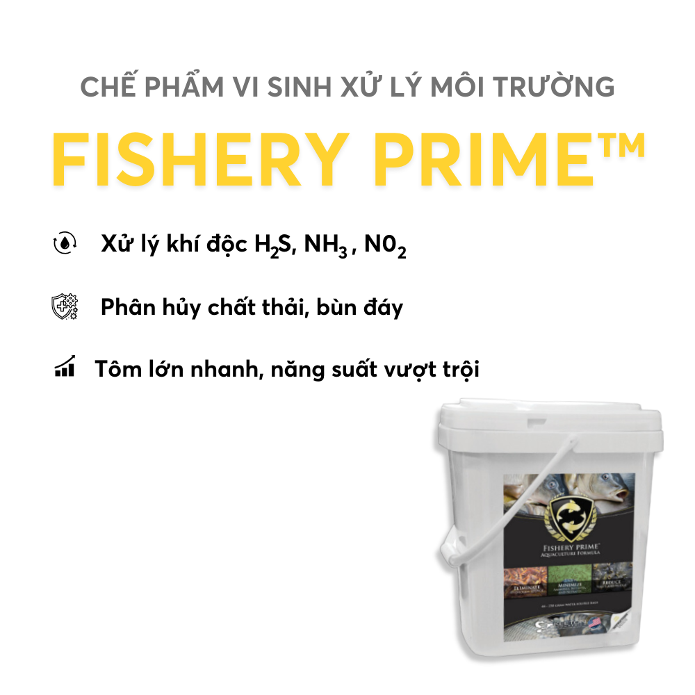 FISHERY PRIME™ - Ảnh 2