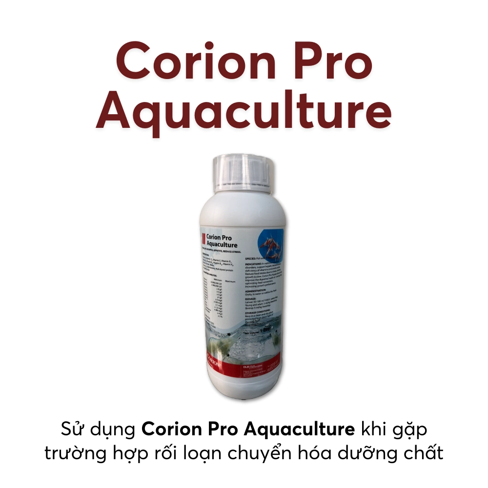 Corion Pro Aquaculture - Ảnh 5