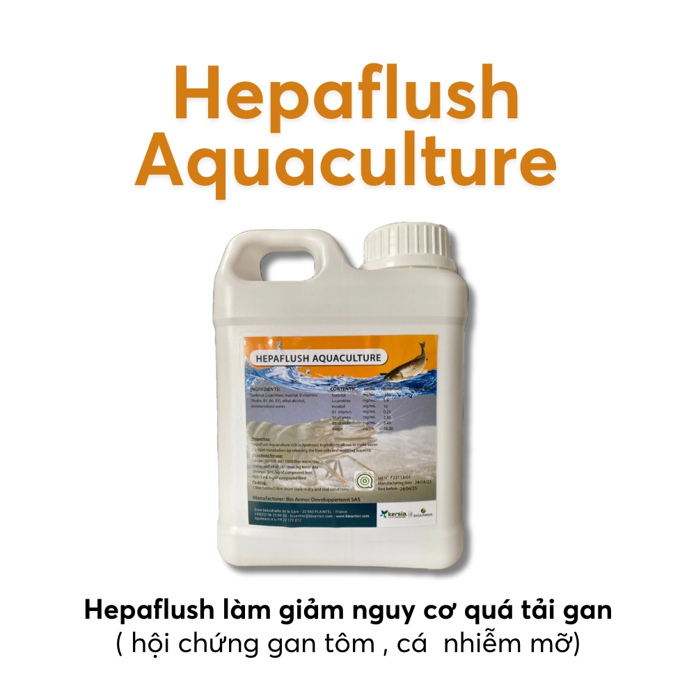 Hepaflush Aquaculture - Ảnh 5
