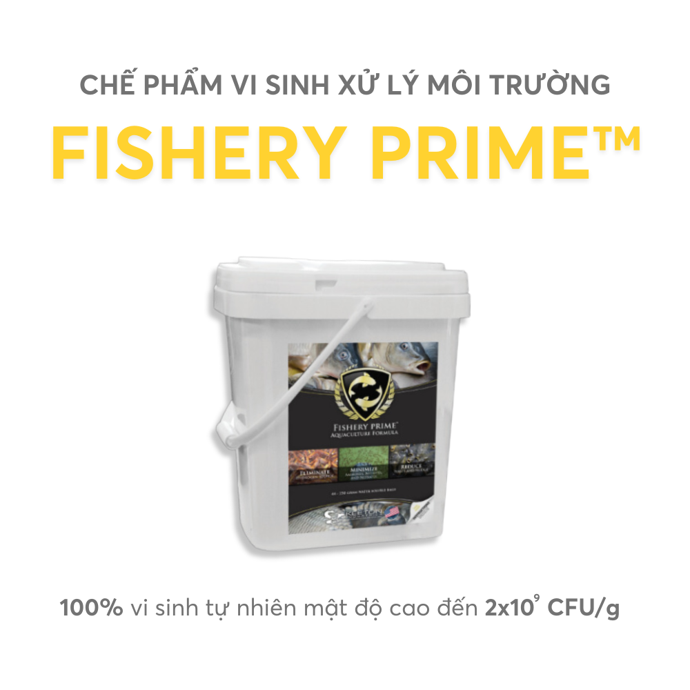 FISHERY PRIME™ - Ảnh 4